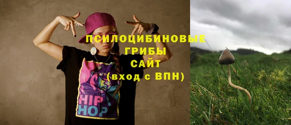 ALPHA PVP Краснослободск