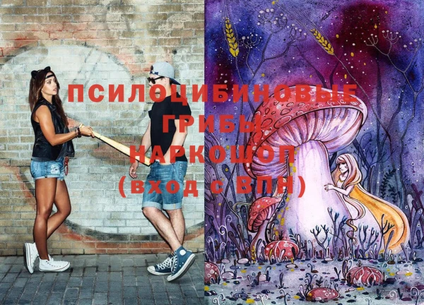 ГАЛЛЮЦИНОГЕННЫЕ ГРИБЫ Нязепетровск