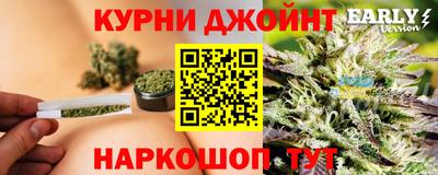 винт Гагарин
