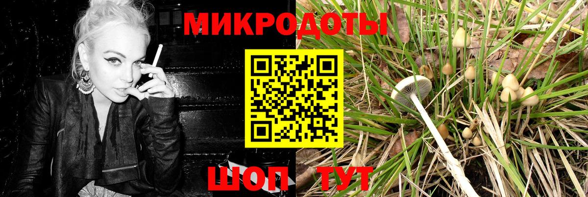Псилоцибиновые грибы Psilocybine cubensis Кропоткин