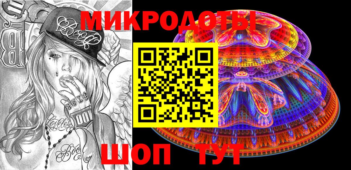 Кропоткин  Псилоцибиновые грибы прущие грибы  Вход с VPN 