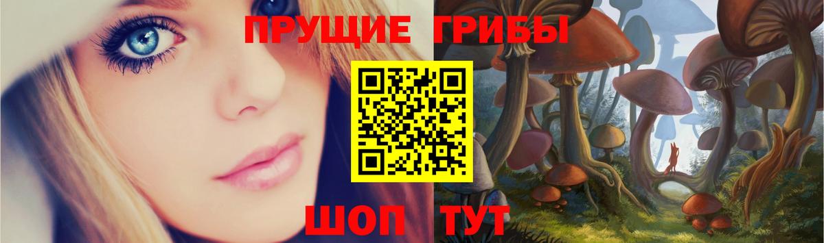 Кропоткин  Галлюциногенные грибы мухоморы  Вход с VPN 